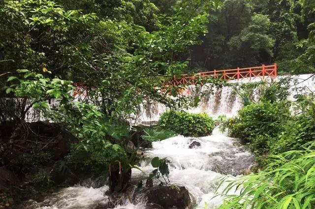  1日>【限时抢购】3折仅99元抢购2大2小 从化五指山三桠塘幽谷景区